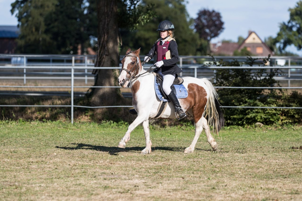 Bild 235 - Pony Akademie Turnier